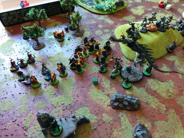 Mordor vs Arnor/Royaumes sylvestres 1000pts 297964IMG20150627175457