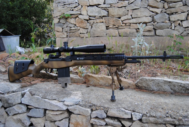 Mon petit M14 EBR custom ^^ 304980m21002