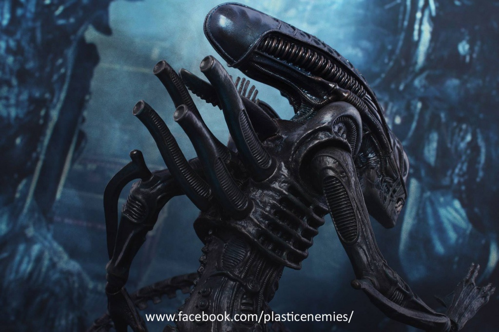 ALIENS - ALIEN WARRIOR 30915413340308101535646147923443128981419944206677o