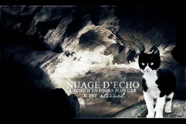 » Boutique de Falco' [0/3] « 320589NuagedEcho