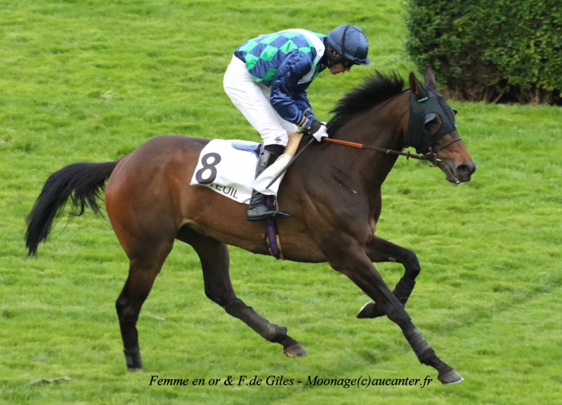 Photos Auteuil 14-05-2016  - Page 2 3243925J6A1579