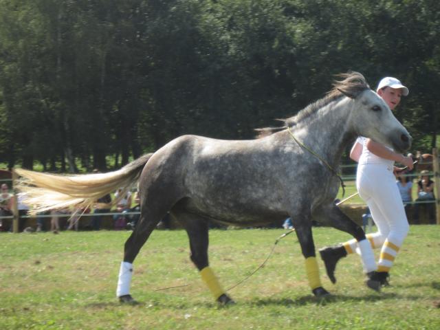 La Cense - samedi 11 septembre 2010 - hors concours 324465IMG_2323_1_