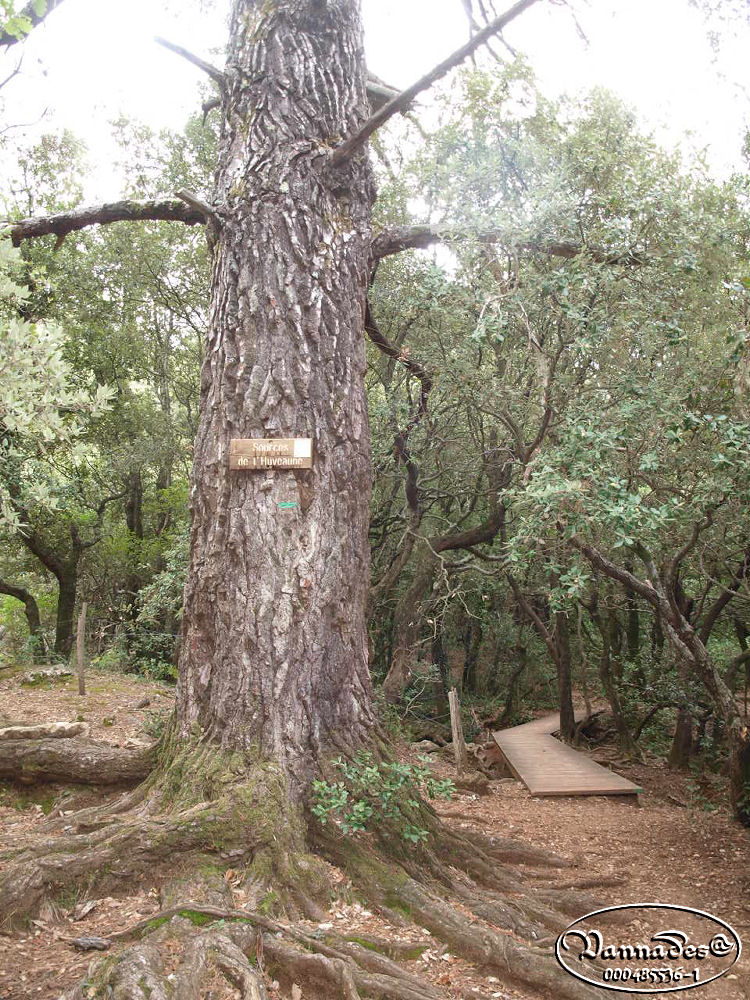 La source de l'Huveaune et sa Sècheresse du 10/10/2012 326339761