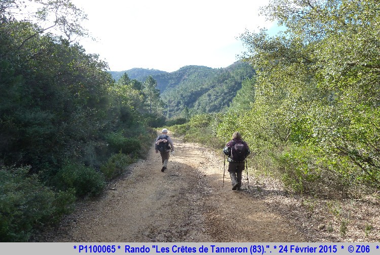 24 Février 2015 - Rando "les crêtes de Tanneron (83)"  327080P1100065