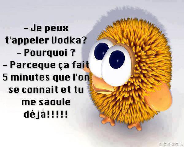 Humour en image ... - Page 10 329298image03417171288