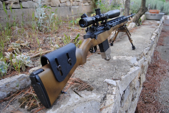 Mon petit M14 EBR custom ^^ 330046m21004