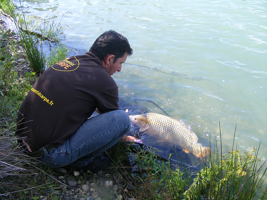 Une première .... 3304586138