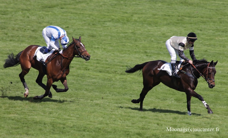 Photos Auteuil 27-04-2016 - Page 2 330846IMG1110