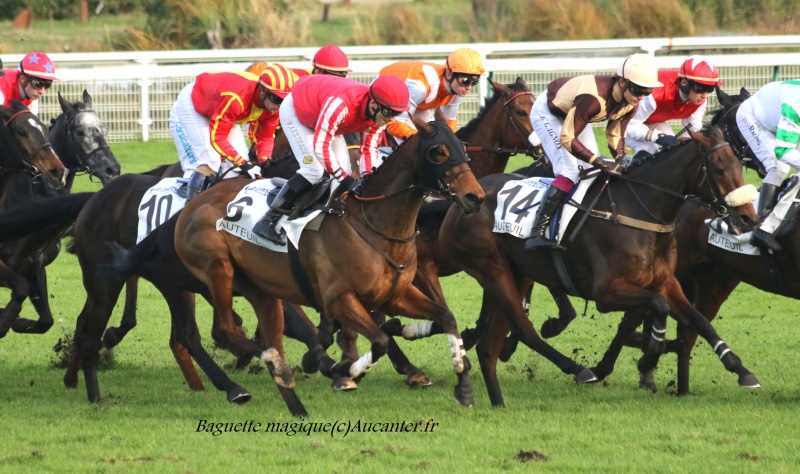 Photos Auteuil 19-11-2016  3335305J6A1377