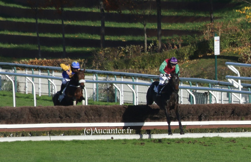 Photos Auteuil 19-11-2016  3357095J6A1068