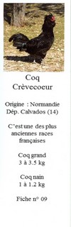 Les doubles de Savoyman - Page 18 34744009Crvecoeur