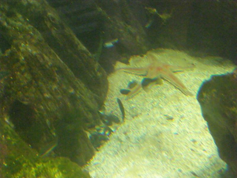 Aquarium de La Rochelle 349760P8027818