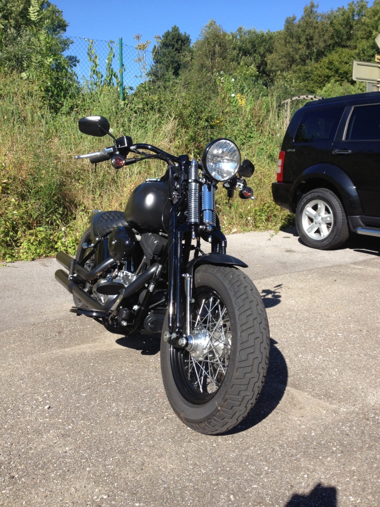 adieu fat bob, bonjour cross bones ! 356011IMG0751