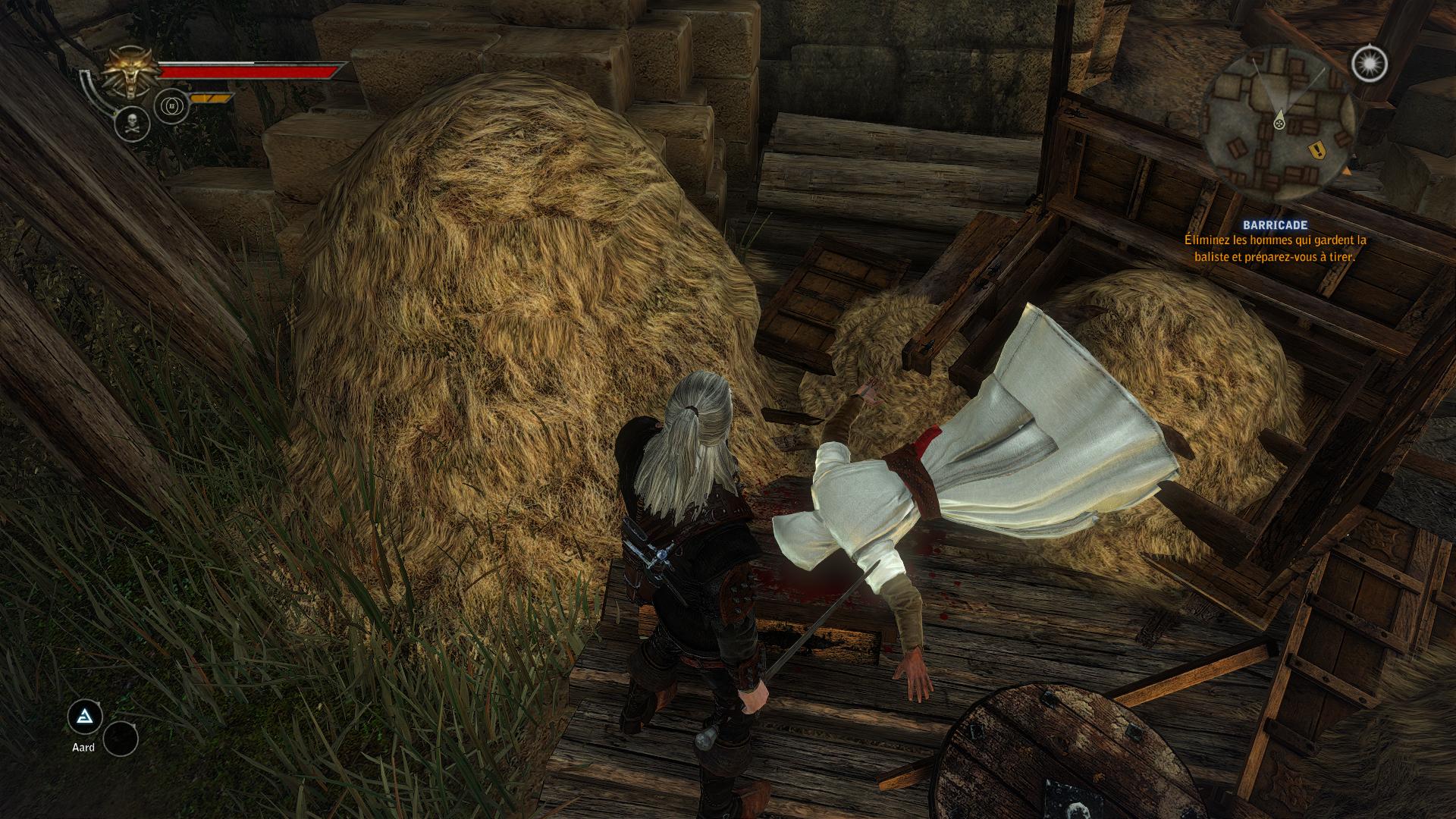 The Witcher! - Page 7 357781witcher22011051703144675