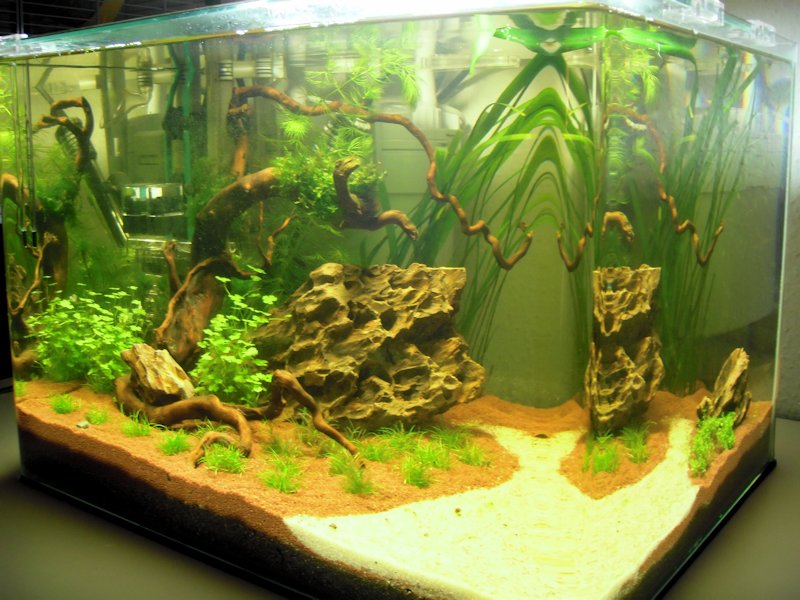 Mon Scaper's Tank 50L Aquascaping 359312P2050038