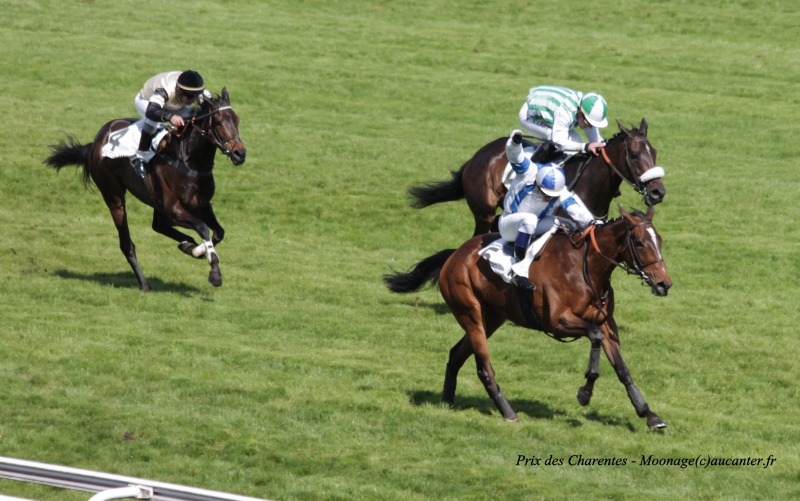 Photos Auteuil 27-04-2016 - Page 2 365115IMG1125
