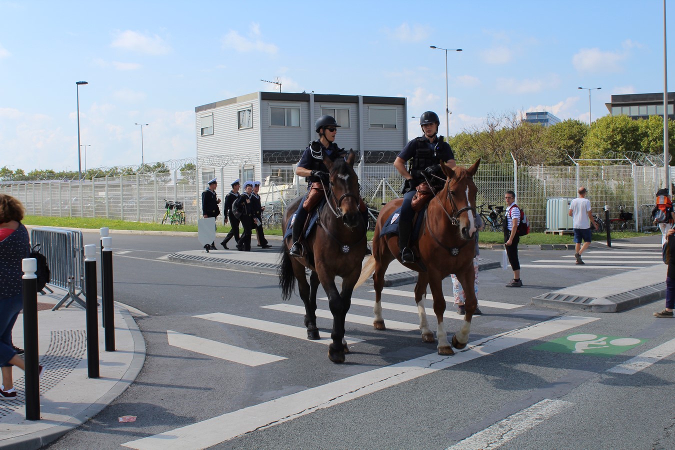 [Fil - Ouvert ] Chevaux - Page 10 365483154Copier