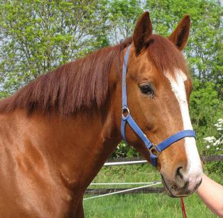 [PLACE BESSE] TINO  En route pour l'extérieur à gogo ! 370881140111