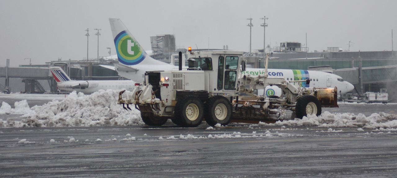 Spotting du 18/01/2013: Sous la neige...  371067IMG2960