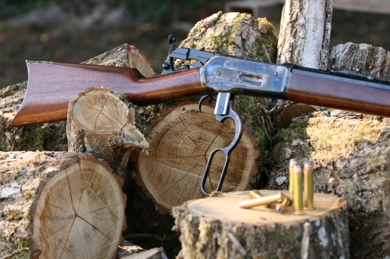 Chiappa 1886 45/70 gvt 375128IMG4122