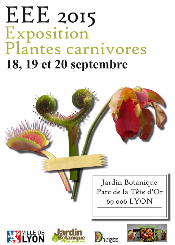 Affiche EEE, graphiste confirmée ou en herbes! - Page 2 377608afficheEEE3