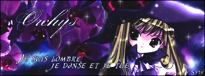 La galerie de Sysy' ~ 378990signatureorchys