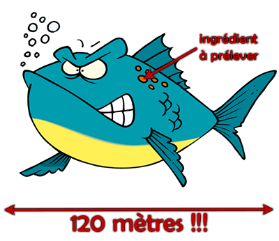 Mission 036: Un poisson en colère 379665poissoncap