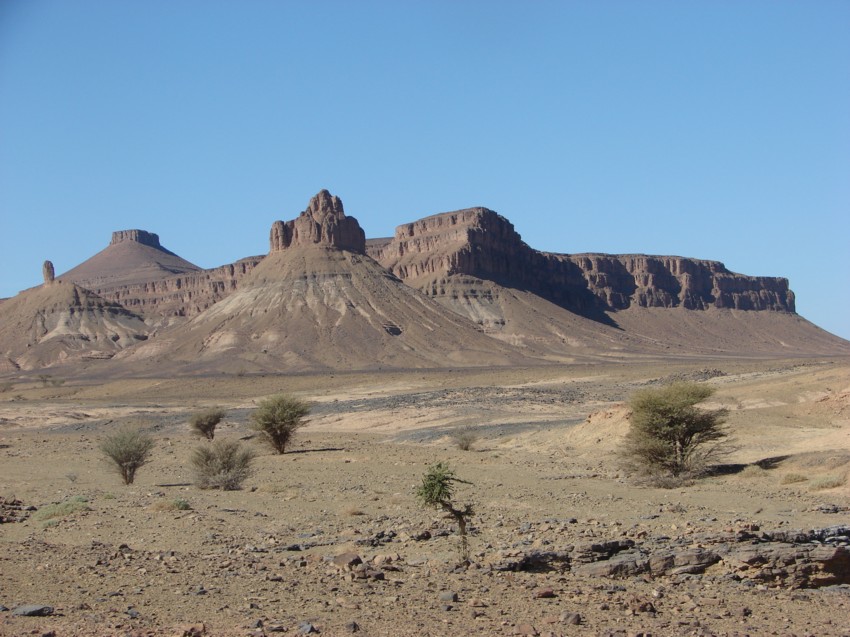 Le Grand Sud du Maroc - II 381398141