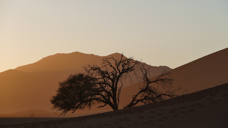 Levé du jour sur le désert de Namib 384038P1140127