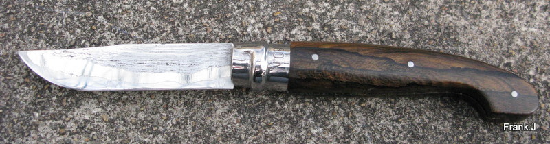 Opinel "custom" 2013 made in Frank - Page 2 386910n9lamedanielziricote4