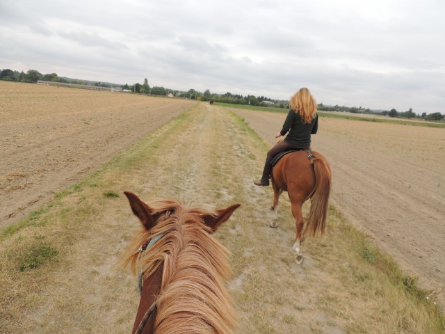 photos des balades que l'on fait depuis le pré... - Page 5 387398Septembre2058