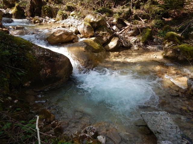 Découvertes dans le Vercors et la Chartreuse au toc 3880214640x480