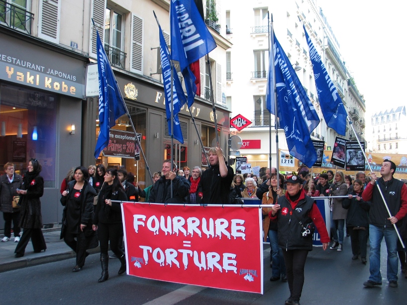 07 - Marche contre la fourrure - Paris 19 novembre 2011. 389987IMG6483