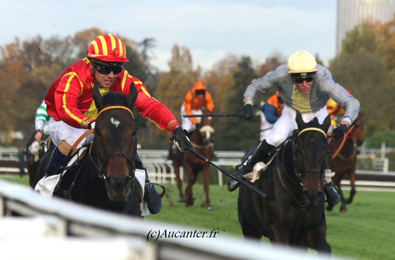 Photos Auteuil 19-11-2016  3965845J6A1386