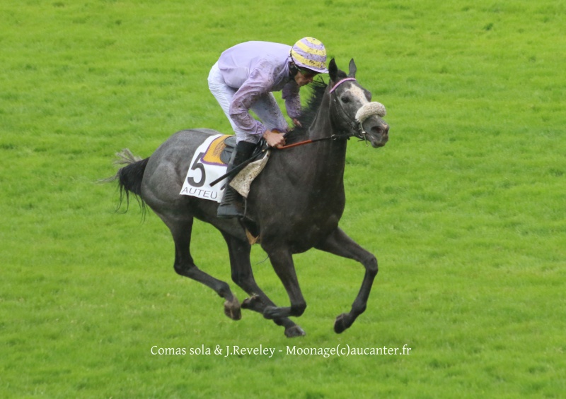 Photos Auteuil 22-05-2016 4002295J6A2955