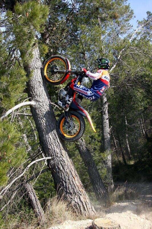 Toni Bou, l'extraterrestre 403298bou210513