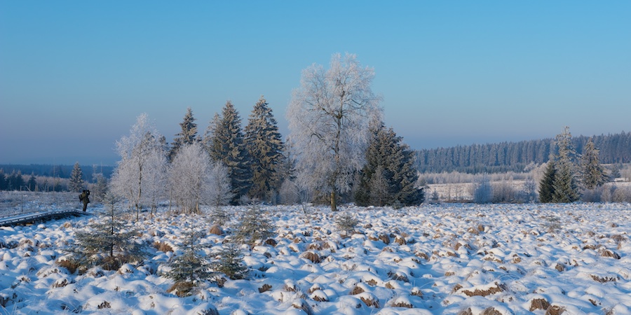 Les Hautes Fagnes 403666DSC0818