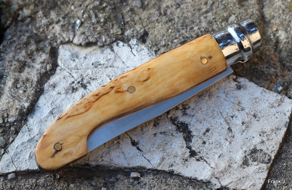 Opinel "custom" 2014 made in Frank 405540IMG2761