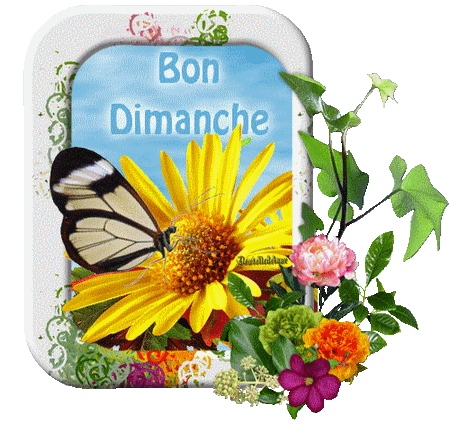 Bonjour, bonsoir..... - Page 28 406210228187bondimanchefleurpapillonprintempsgifanime