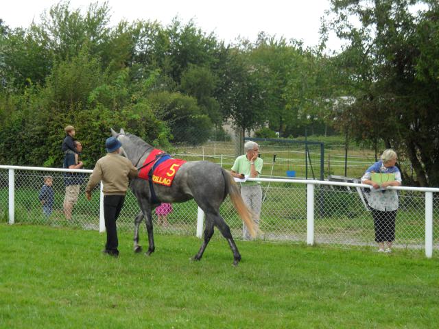 Tiercé à l'hippodrome d'Aurillac 410730SAM0146