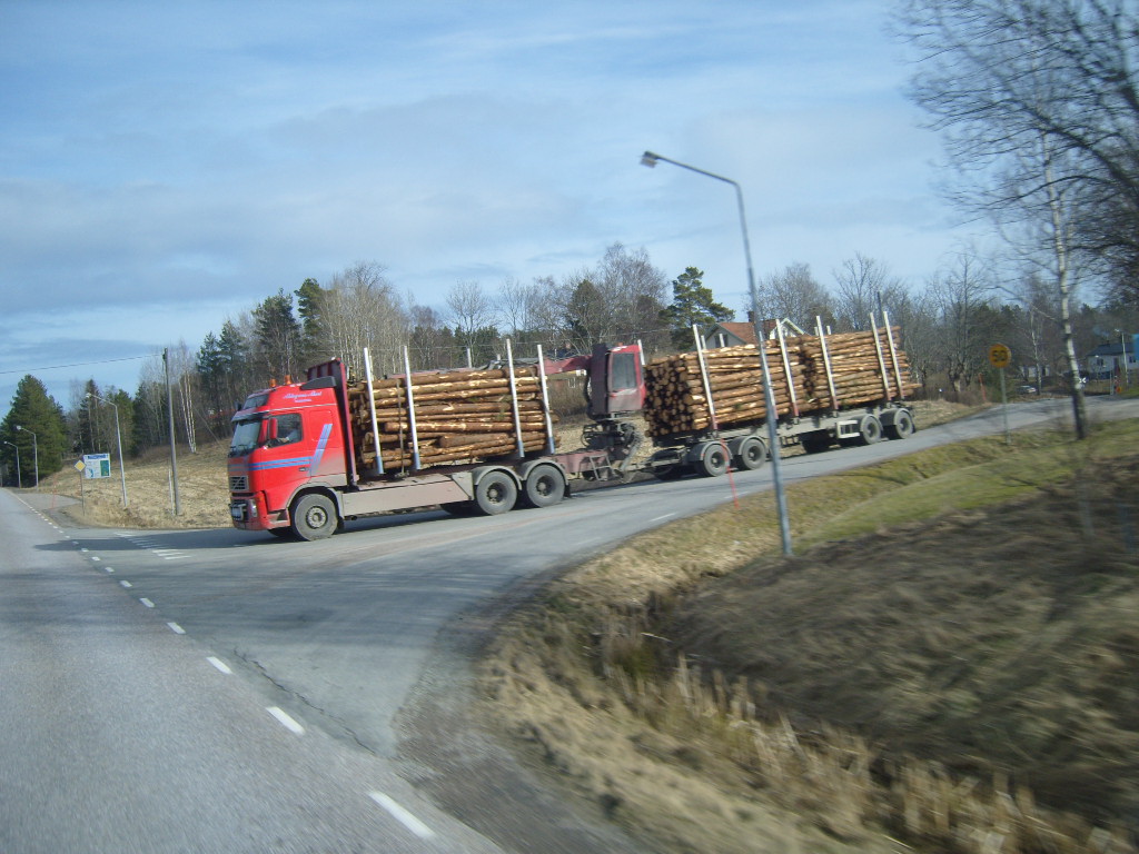 60 tonnes de bois 411608Asesnsbruck07III0856