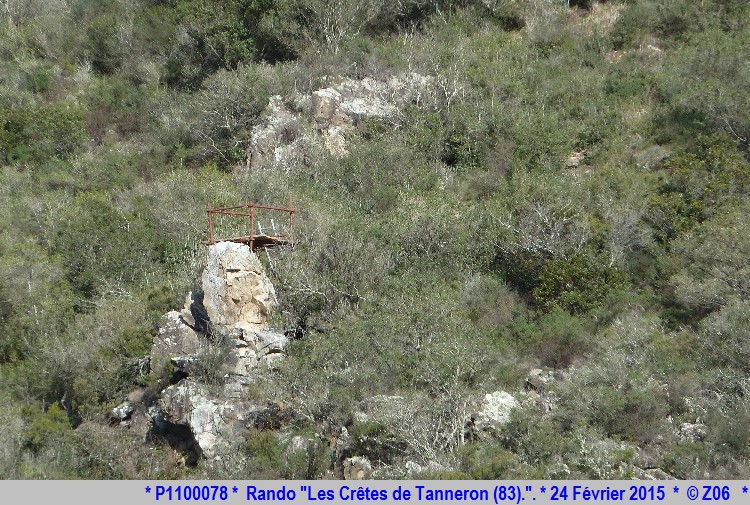 24 Février 2015 - Rando "les crêtes de Tanneron (83)"  418026P1100078