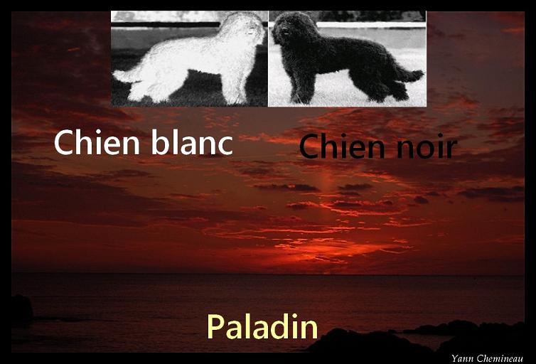 Chien Blanc, Chien Noir 419926chien