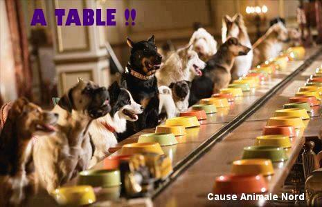 FUNNY ANIMALS 421063atable