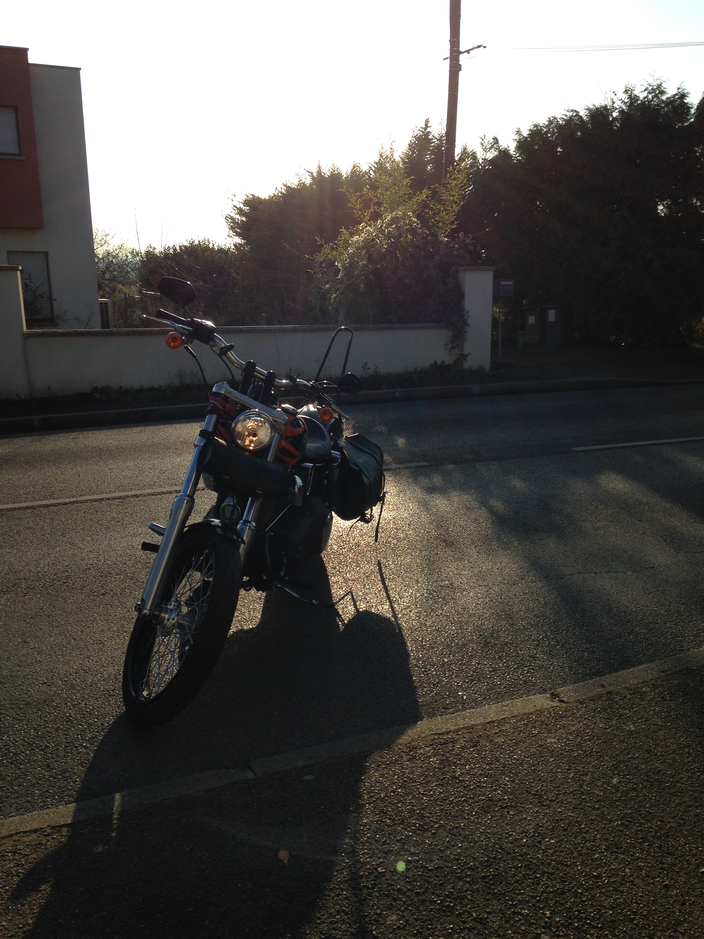 DYNA WIDE GLIDE, combien sommes-nous sur Passion-Harley - Page 29 428577IMG2754