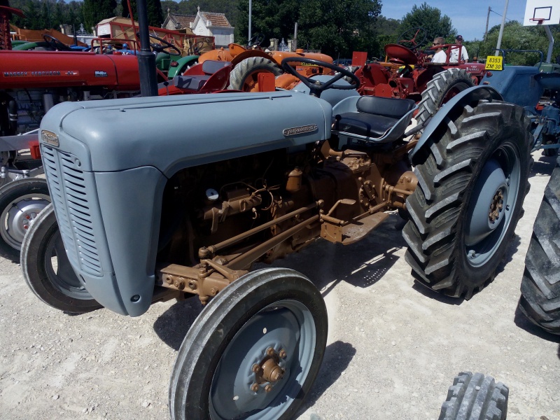 la Fête de l'Agriculture à St THEODORIT  20 et 21 Juin 2015 430606IMG20150621104529