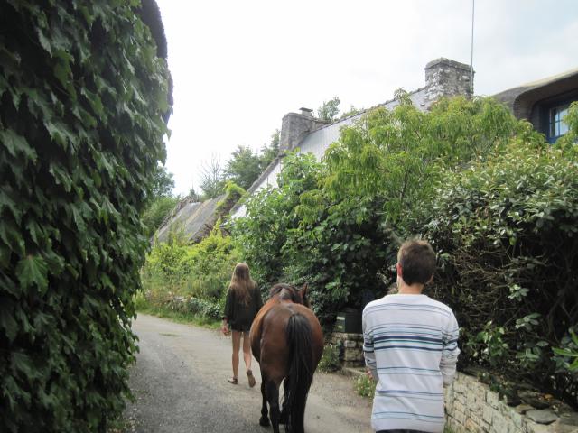 Domaine de Kerdianou...Vacances en Bretagne !!! 430882IMG8328