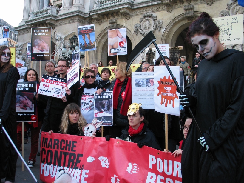 07 - Marche contre la fourrure - Paris 19 novembre 2011. 433561IMG6643