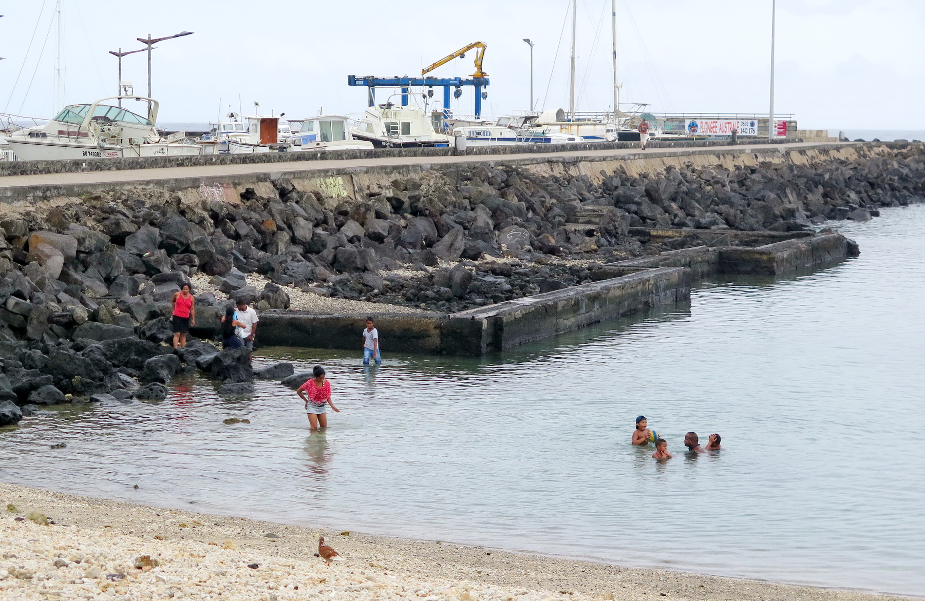  [Vie des ports] Les ports de la Réunion - Page 2 433788saintpierre034