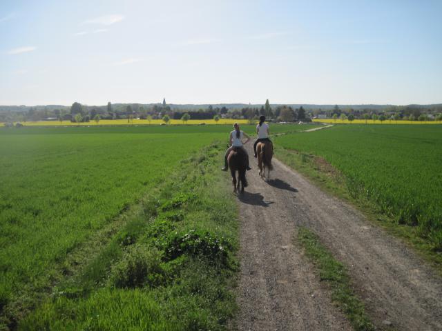 Balade de 2h - Milly la Forêt - Chapeau de Napoléon 436137IMG5988